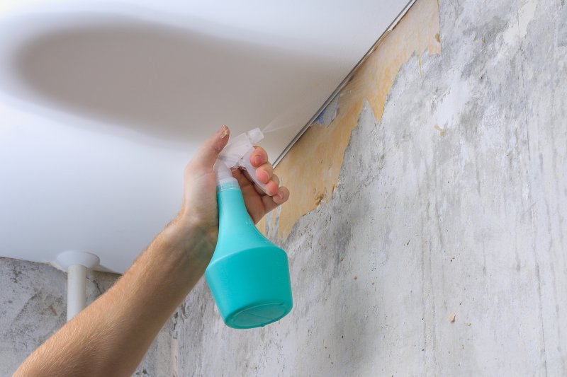 Removing old wallpaper border using a spray bottle and solution (Photo by detry26 - stock.adobe.com)